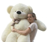 image of teddy_bear