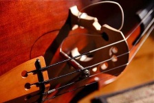 image of cello
