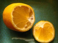 image of lemon #6