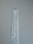 image of nematode