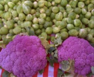 image of cauliflower #4