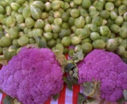 image of cauliflower