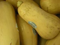 image of butternut_squash
