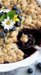 image of blueberry
