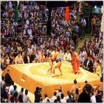 image of sumo_wrestling #28