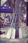 image of paddle