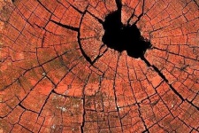 image of texture