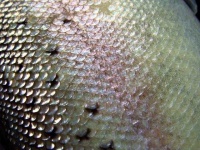 image of texture