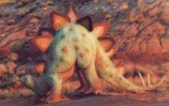 image of stegosaurus