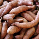 image of sweetpotato #12