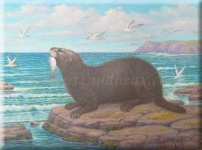 image of mink