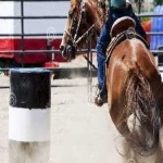 image of sport