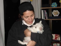 image of west_highland_white_terrier