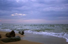 image of seashore