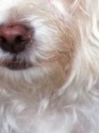 image of texture