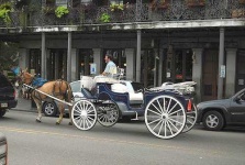 image of horse_cart #34