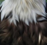 image of texture