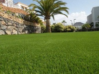 image of grass