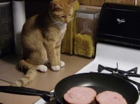 image of frying_pan