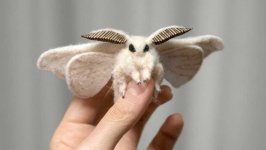image of animal