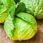 image of cabbage #0