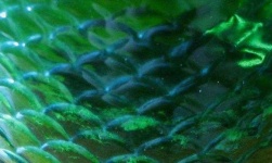 image of texture