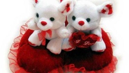 image of teddy_bear