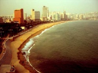 image of seashore