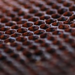 image of honeycomb