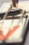 image of mousetrap