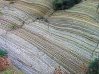 image of texture