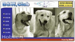 image of golden_retriever