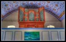 image of organ #22