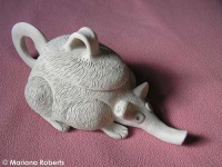 image of pitcher