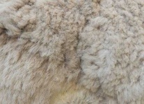 image of texture