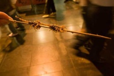 image of scorpion