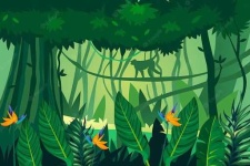 image of jungle