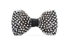image of bowtie