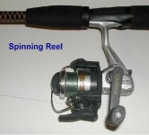 image of reel
