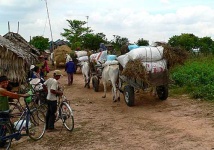image of oxcart