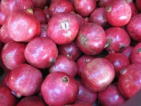 image of pomegranate
