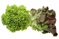 image of fruit_and_vegetable