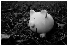 image of piggy_bank #20