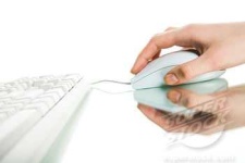 image of mouse