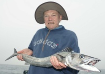 image of barracouta