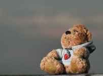 image of teddy