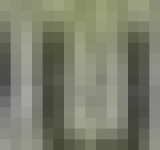 image of char