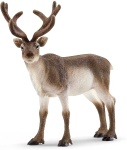 image of animal