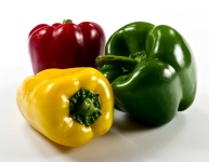 image of capsicum #32