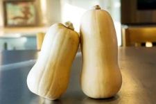 image of butternut_squash #19